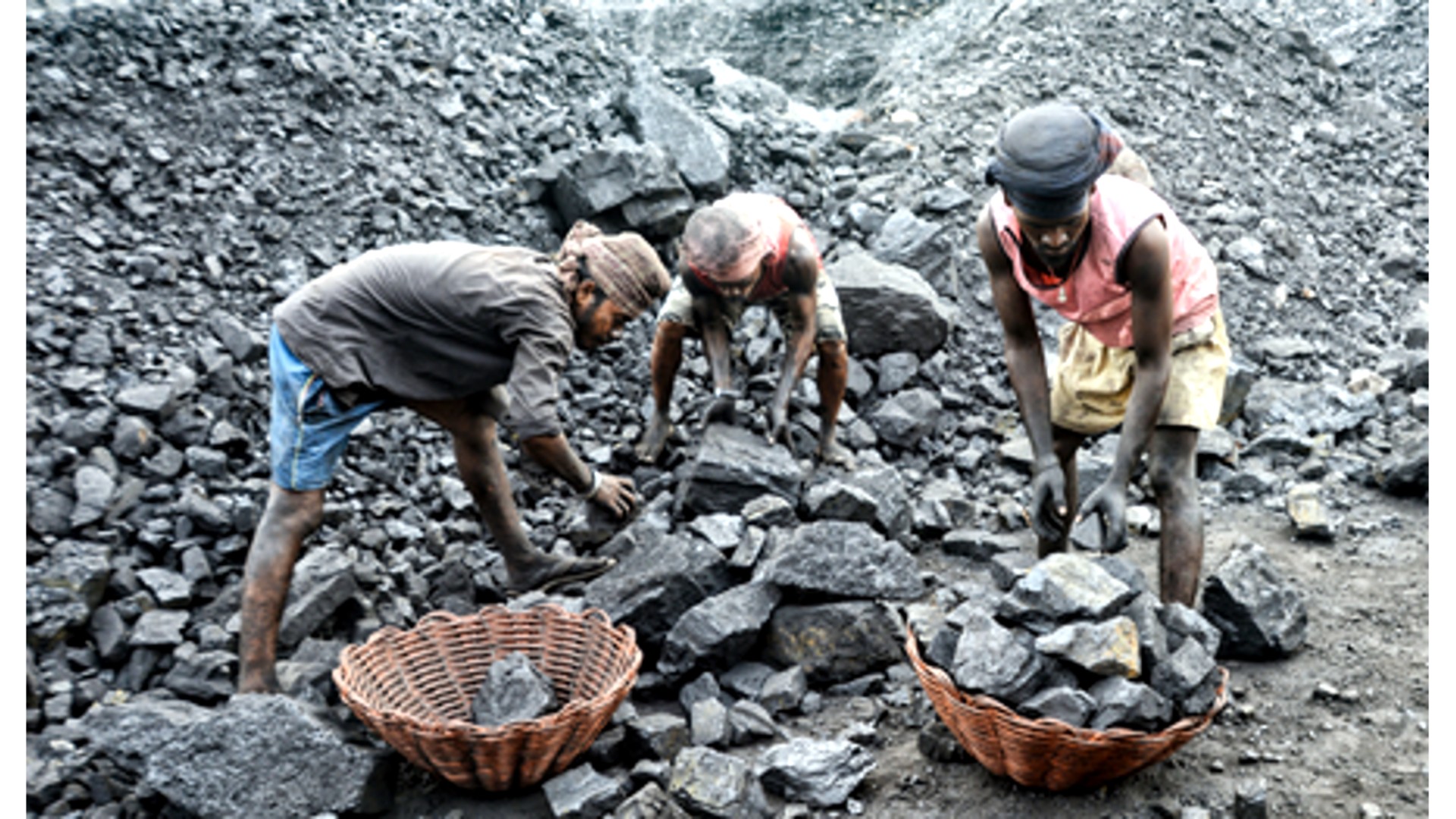 Commercial coal blocks auction 14th round receives 49 bids for 24 coal blocks, reflecting strong investor interest in India’s commercial coal mining sector.