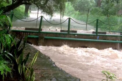 भारी बारिश के बाद चंडीगढ़ के रोज़ गार्डन में जलभराव का दृश्य