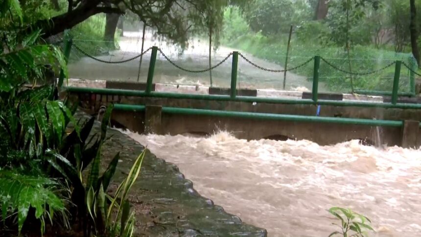 भारी बारिश के बाद चंडीगढ़ के रोज़ गार्डन में जलभराव का दृश्य