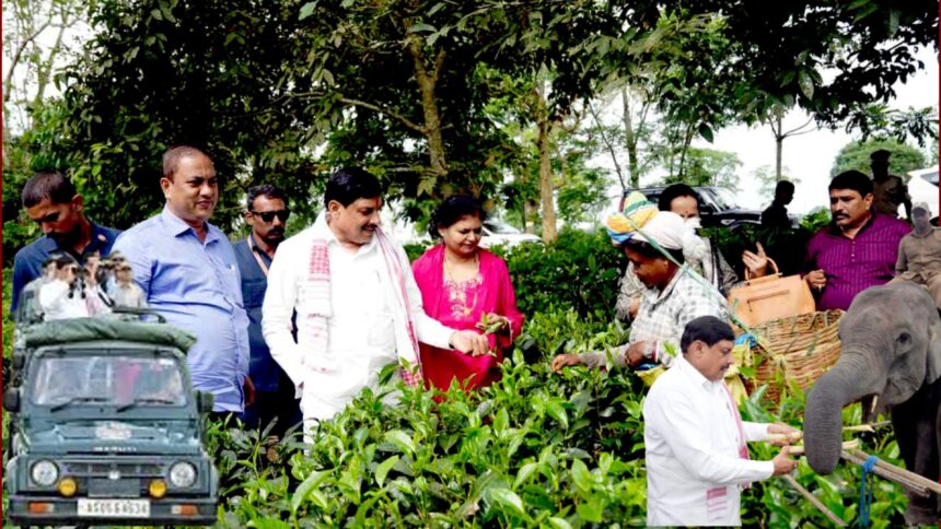 Madhya Pradesh CM interacting with female tea garden workers in Assam, highlighting their contribution and empowerment.