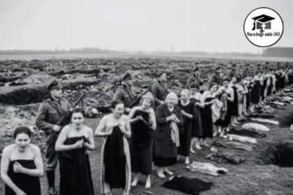 प्रतीकात्मक तस्वीर