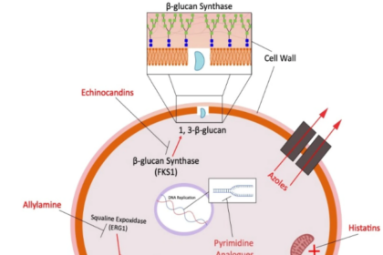 Drug-resistant fungus infection spreading in India as scientists warn about rising antifungal resistance and serious health risks