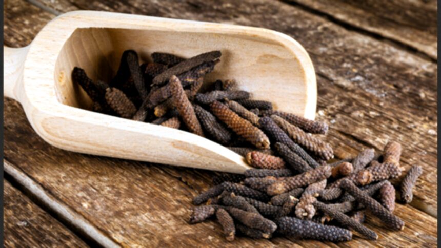 Ayurvedic pippali (long pepper) used to improve digestion, boost immunity, and reduce physical weakness