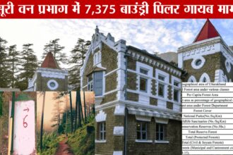 Uttarakhand High Court hearing on Mussoorie Forest Boundary Pillars Missing Case involving 7,375 vanished forest boundary markers and alleged forest land encroachment