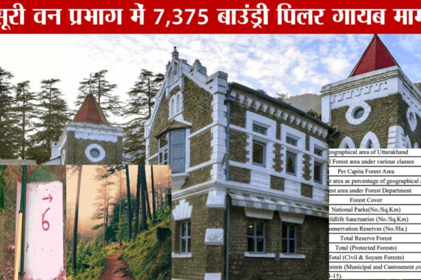 Uttarakhand High Court hearing on Mussoorie Forest Boundary Pillars Missing Case involving 7,375 vanished forest boundary markers and alleged forest land encroachment