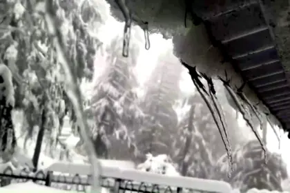 Himachal Snowfall Jakhu Hills Covered in White