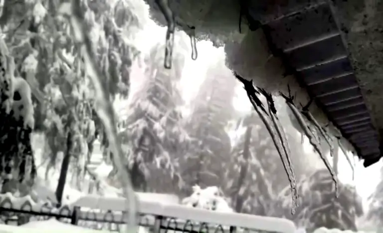 Himachal Snowfall Jakhu Hills Covered in White