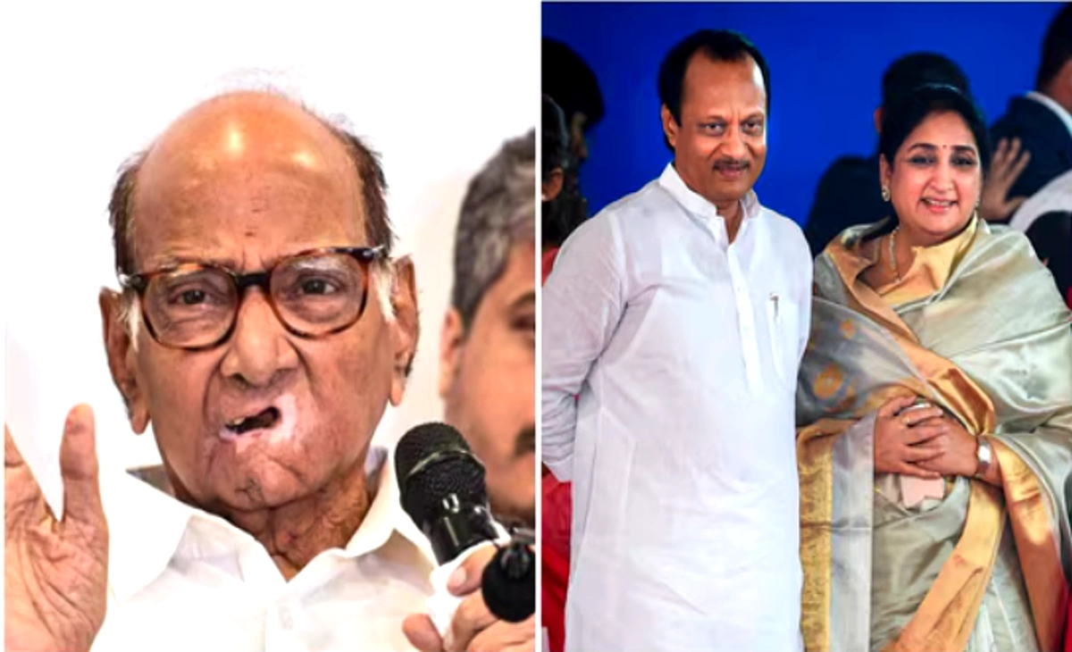 Sunetra Pawar Deputy CM: Sunetra Pawar and Parth Pawar during Maharashtra political meeting