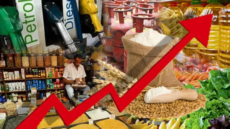 WPI Inflation India