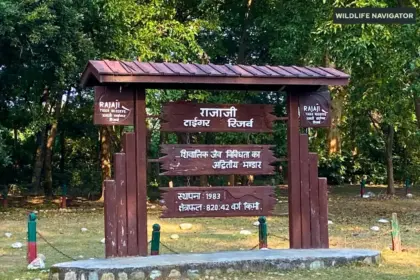 Rajaji Tiger Reserve