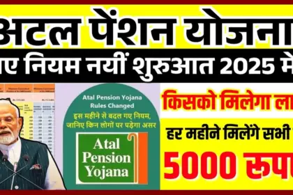 Atal Pension Yojana: chart showing monthly contribution vs ₹5000 pension benefits