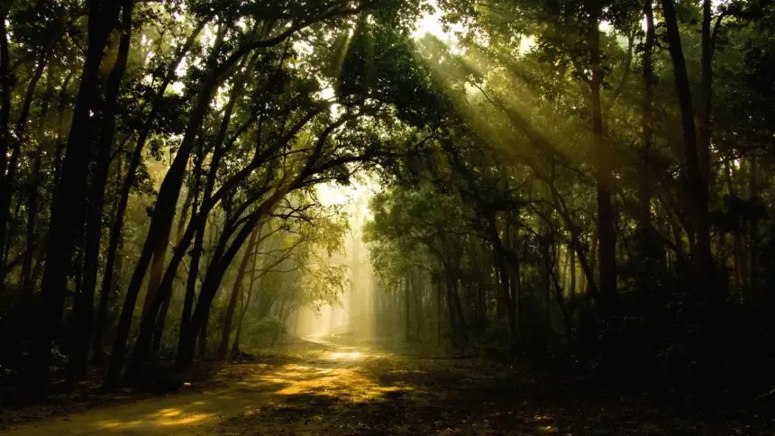 Uttarakhand Forest Crisis