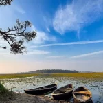 Kanwar Lake Ramsar Site: Shrinking Kanwar Lake Ramsar Site in Begusarai facing encroachment, water loss and biodiversity threats after NGT notice to nine authorities