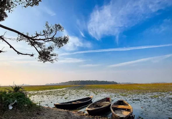 Kanwar Lake Ramsar Site: Shrinking Kanwar Lake Ramsar Site in Begusarai facing encroachment, water loss and biodiversity threats after NGT notice to nine authorities