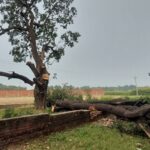Environmental activists protesting against the felling of over 3,300 trees at Seven Bend after the government suspended the tree-cutting drive.