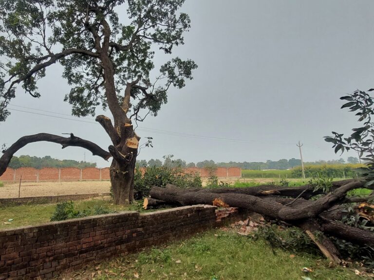 Environmental activists protesting against the felling of over 3,300 trees at Seven Bend after the government suspended the tree-cutting drive.