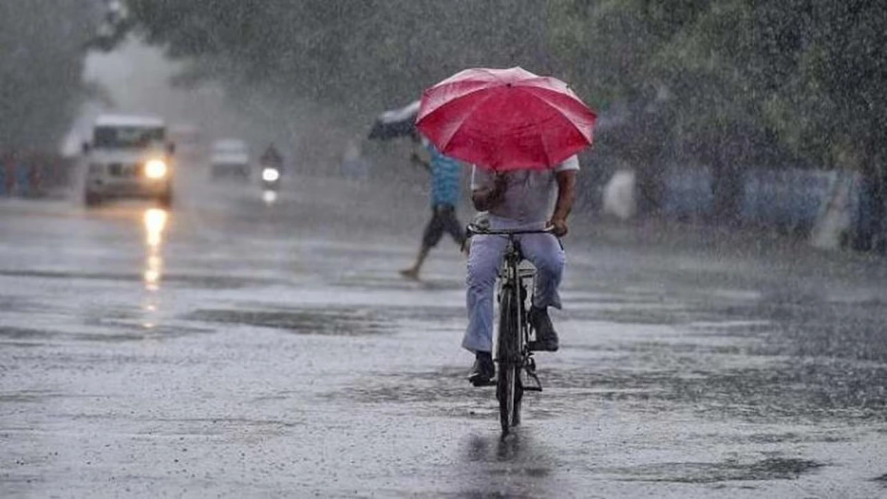Haryana Weather Today rain forecast for 12 districts and monsoon alert for August 14-15