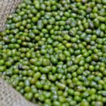 Farmers selling mung crop under MSP procurement at government purchase center in Madhya Pradesh