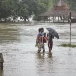Madhya Pradesh rain causes waterlogging and overflowing rivers in Chhatarpur,