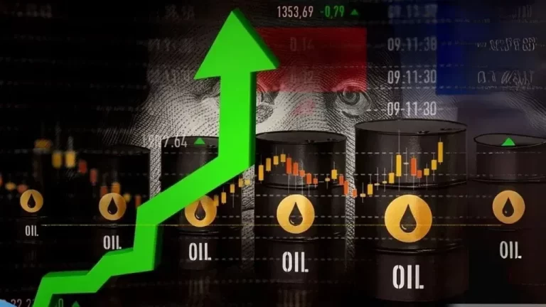 Petrol Price rise as crude oil crosses $100 per barrel